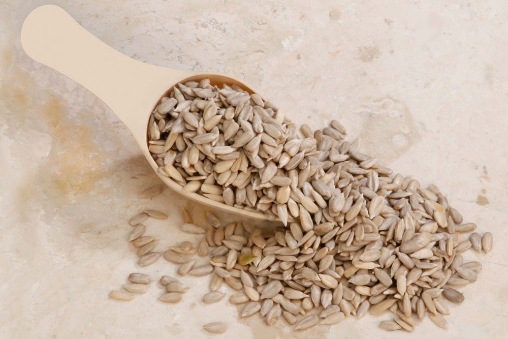 Nature Masters Pakistan Organic Food
