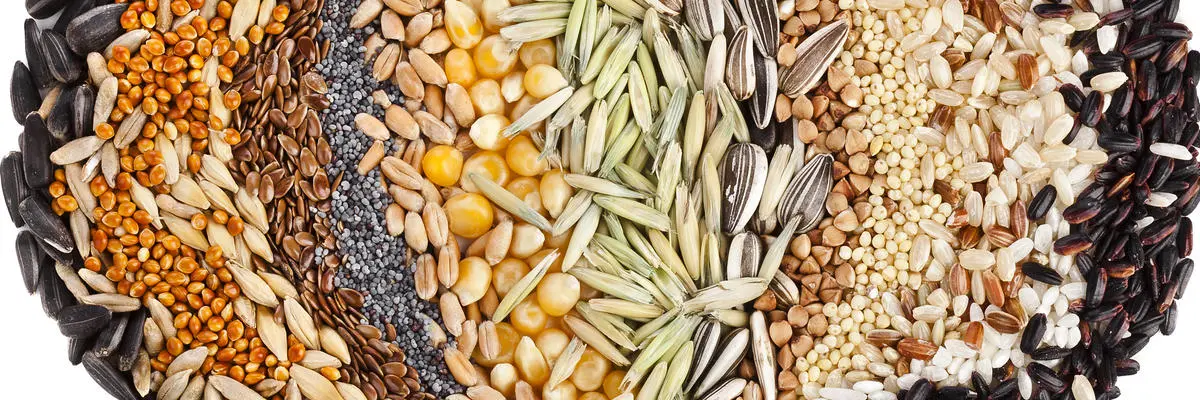 Why You Should Add Super Seeds to Your Diet